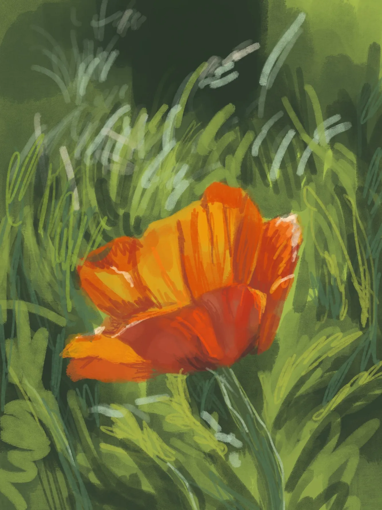 Digital scribble of a poppy closeup on a grassy background