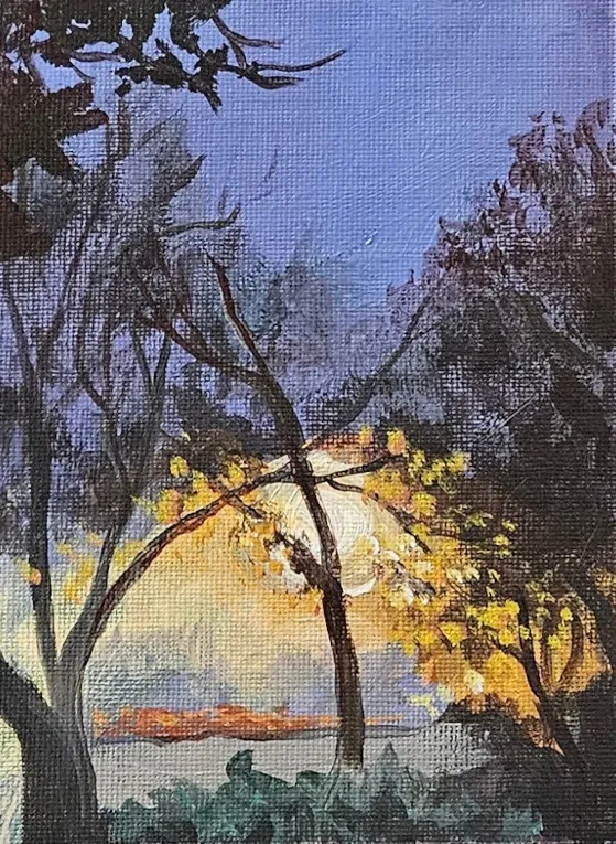 Glow of a streetlight in the fog behind some fall trees at dusk