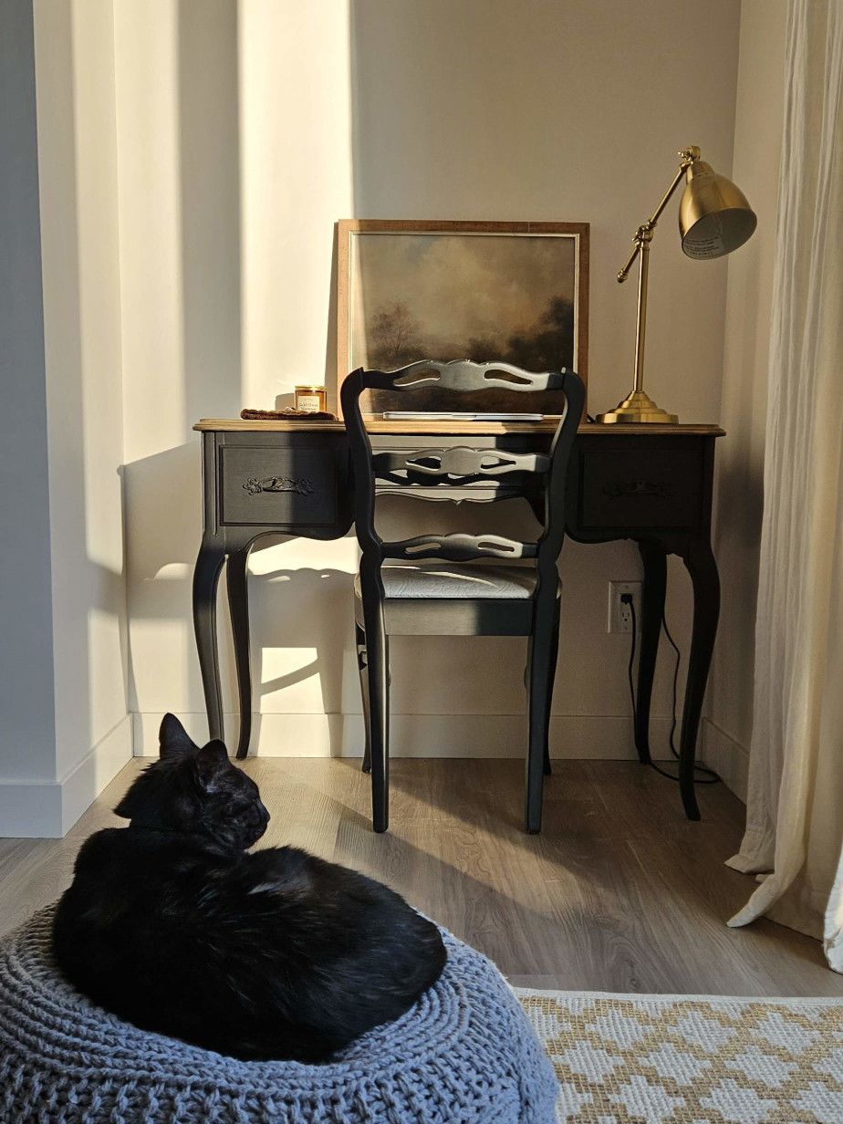 Writing desk with cat