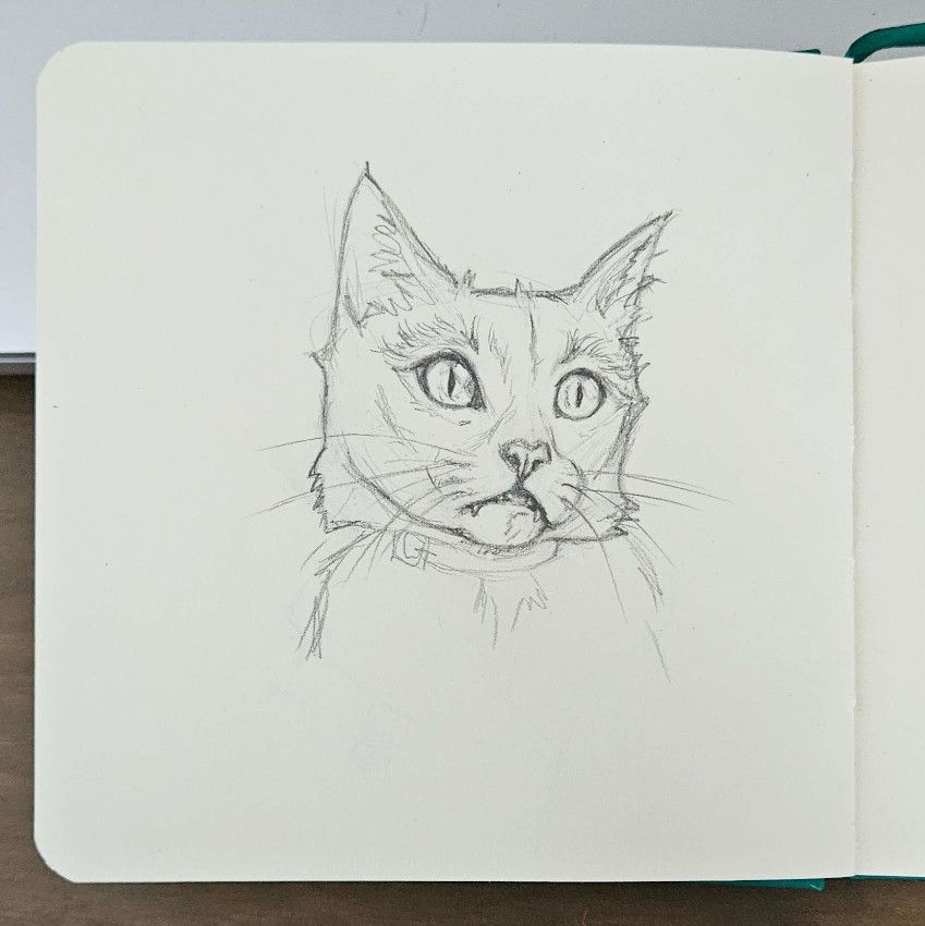 Cartoonish cat portrait sketch